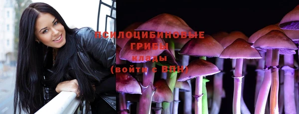 прущие грибы Алзамай
