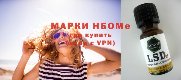 прущие грибы Алзамай