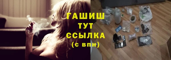 прущие грибы Алзамай