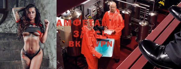 прущие грибы Алзамай