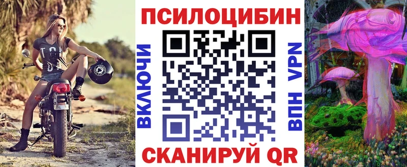 Псилоцибиновые грибы мицелий MEGA онион Камешково